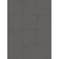 Coachella Graphite Coachella Graphite