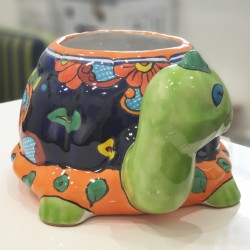 Carlos The Turtle Carlos The Turtle